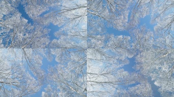 乌兰布统雾凇雪景雪林航拍