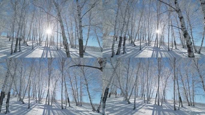 乌兰布统雾凇雪景雪林航拍