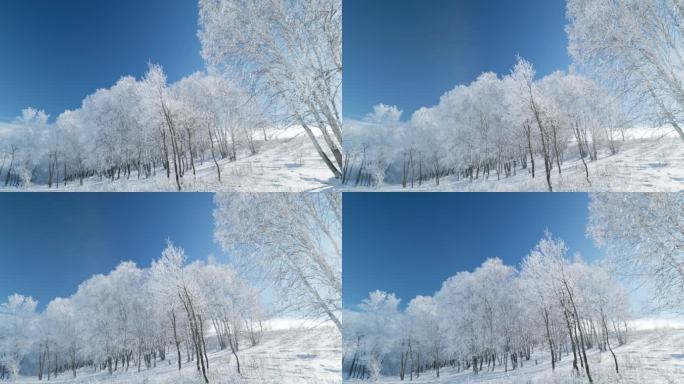 乌兰布统雾凇雪景雪林航拍
