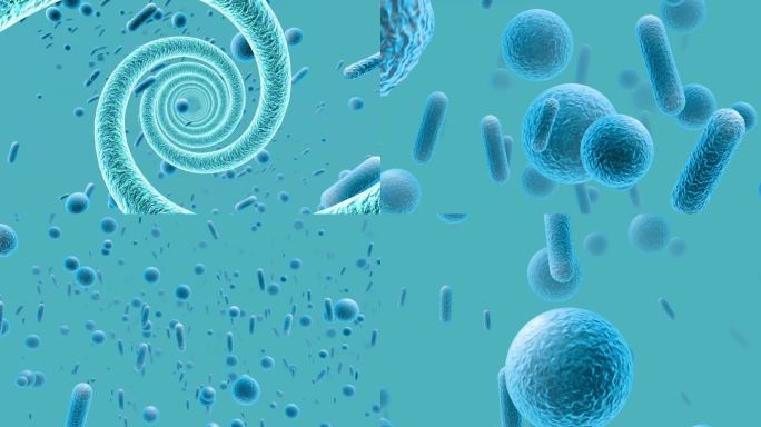 微观细菌 DNA基因链 细胞