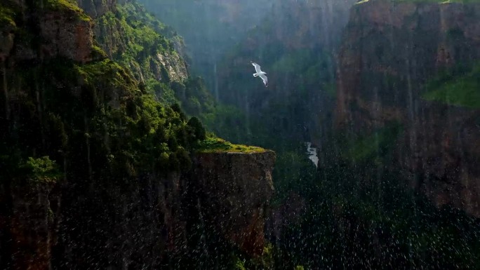 一场细腻温柔的细雨滋润着山间的山谷，一只鸟儿飞过。