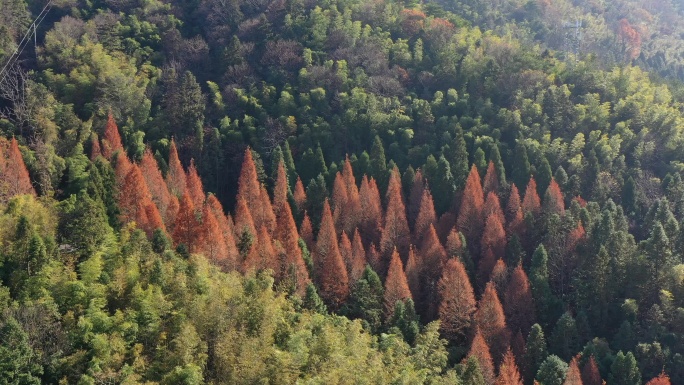 航拍湖南长沙浏阳大围山景区