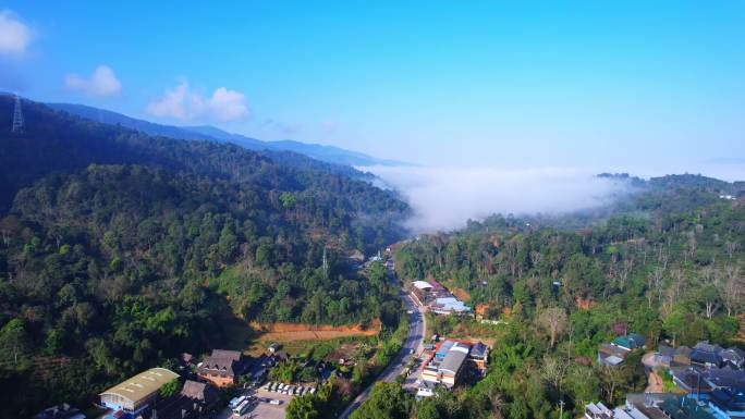 南糯山普洱茶云南茶云海茶山茶214国道