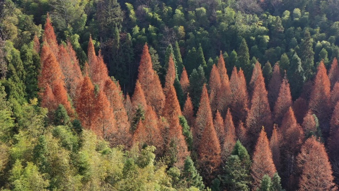 航拍湖南长沙浏阳大围山景区