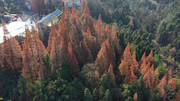 航拍湖南长沙浏阳大围山景区