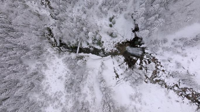 空中俯瞰美丽的河流在雪树在冬季-法国阿尔卑斯山，法国