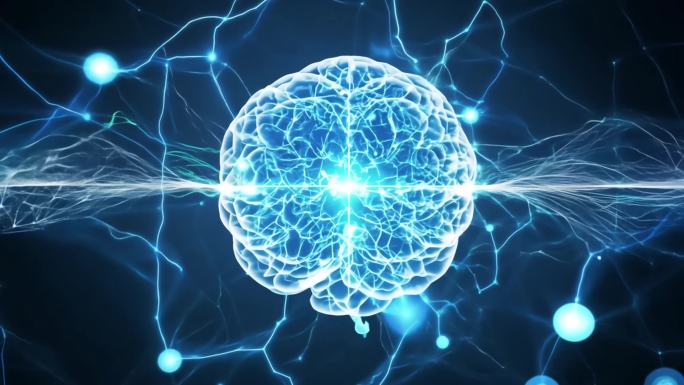 大脑信号  神经信号传导 大脑感知系统
