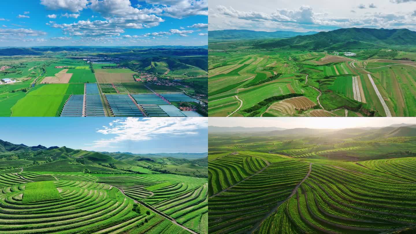 北方高标准农田建设