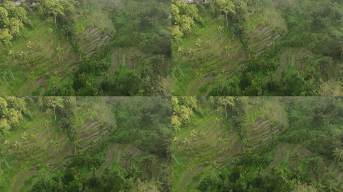 宁静的山上潮湿的稻田的空中平移镜头-巴厘岛，印度尼西亚