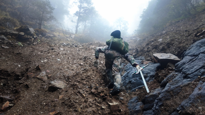 护林员森林雪山徒步穿越寻找野生动物