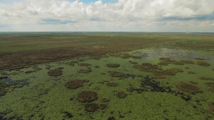 云天下潮湿的绿色景观的空中倾斜前进地平线- Bayou Vista，德克萨斯州