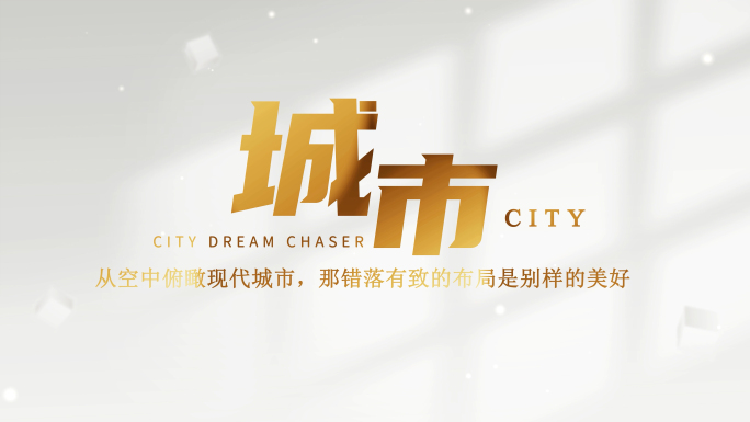 简洁白金色标题文字包装展示