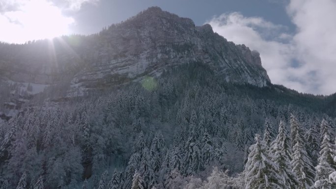 空中平移田园诗般的拍摄，如果积雪覆盖的森林在山上，无人机飞行向前在阳光明媚的日子-法国阿尔卑斯山，法