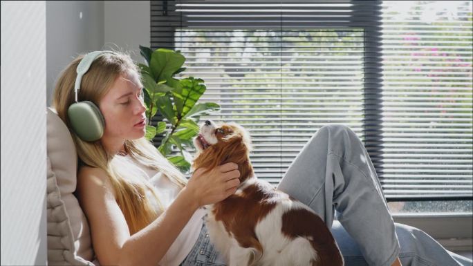 沙发上的年轻女子抱着她的西班牙猎犬小狗。