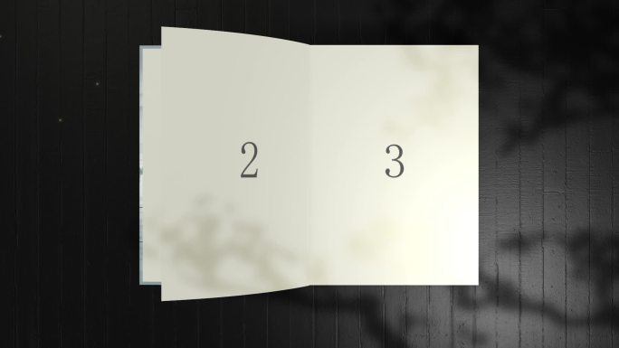 【AE模版】简约国风文艺感翻书动画