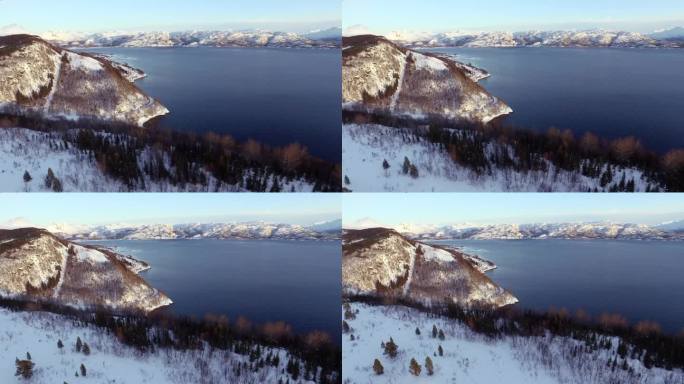 空中快速后退:挪威罗浮敦，松树覆盖着白雪