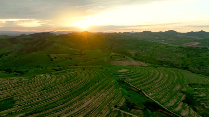 坡改梯、高标准农田