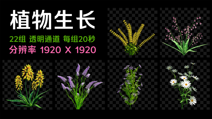 22组植物生长透明素材