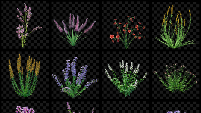 22组植物生长透明素材