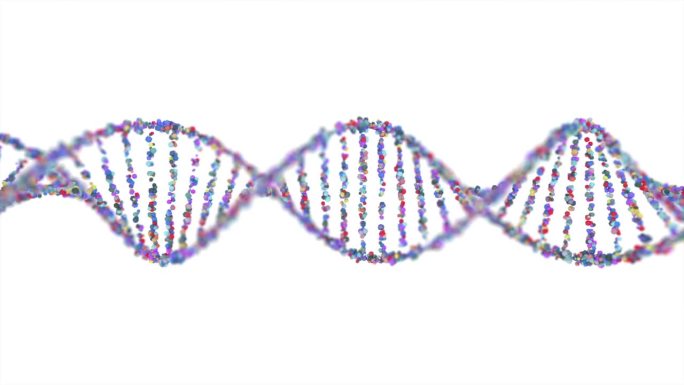 DNA分子分解