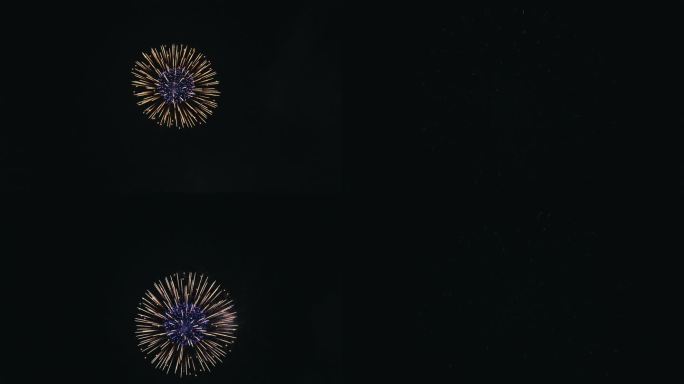 烟花绽放（高帧率慢放）