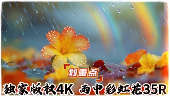 雨中彩虹花朵唯美片头