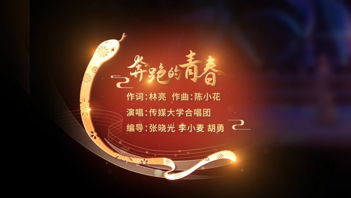 2025蛇年晚会mv歌词文字字幕展示16
