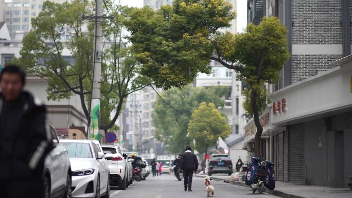 老街小巷小胡同