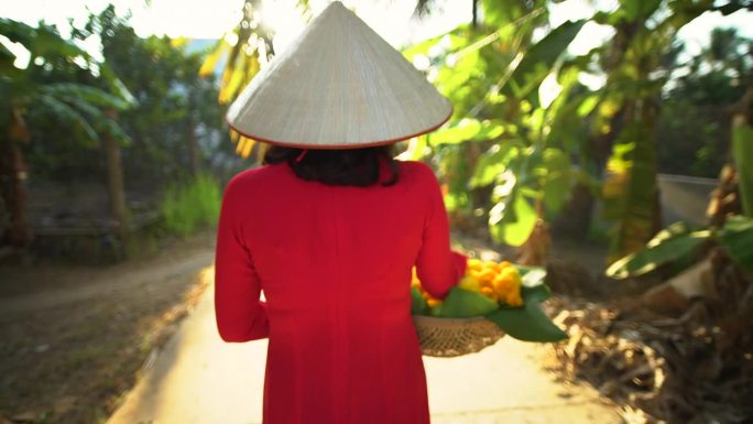 阳光照在香蕉种植园上，越南女人