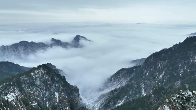 4K  神农架 森林 冬日 云海 雪景