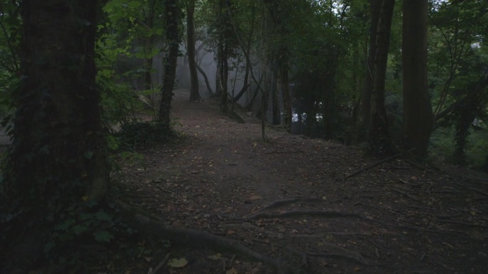 WS Shot of Smoke moving through Trees / Surrey，英国