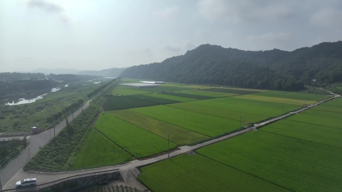 全州道，华顺郡，乡村耕地和溪流的稻谷收割风景 / 韩国