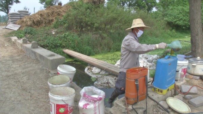 水稻工厂化育秧 配药 苗床追肥 秧苗喷雾