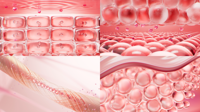 化妆品补水细胞修复c4d 三维工程