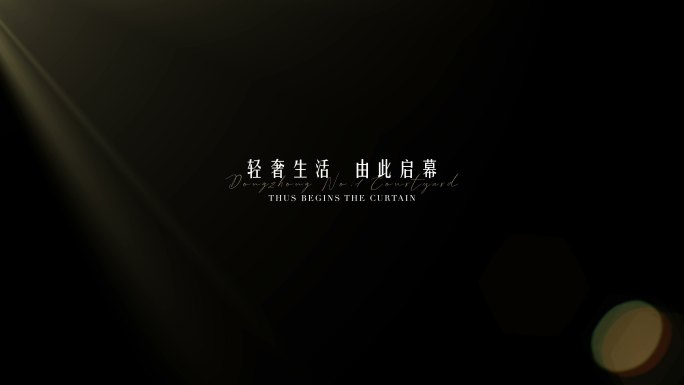 高端轻奢标题字幕