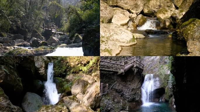 四川成都都江堰青城后山五龙沟景区