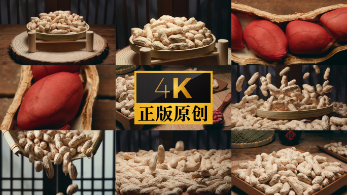 花生 微距特写 五谷杂粮 粗粮