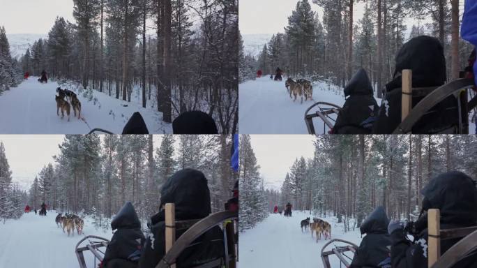 在挪威特罗姆瑟，挪威狗拉雪橇的第一眼视频