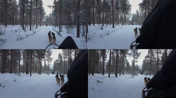 在挪威特罗姆瑟，挪威狗拉雪橇的第一眼视频