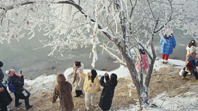 树挂雾凇落花飘雪游客起跳拍照旅拍打卡冰雪