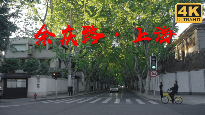 余庆路 梧桐树 光影 上海街景
