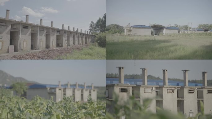 烟草烟叶烤烟房秸秆回收烟田