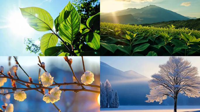 生态 青山绿水 大自然
