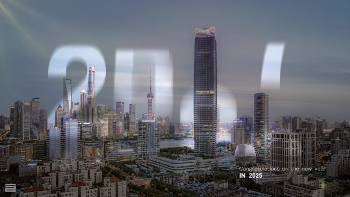再见2024