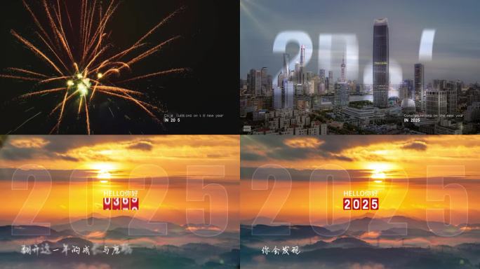 再见2024