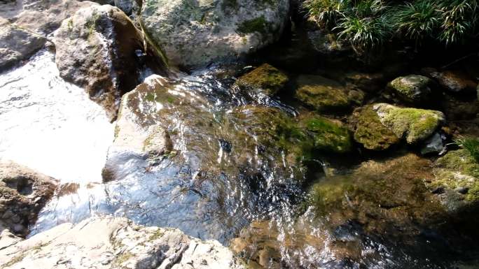 四川成都都江堰青城后山五龙沟景区