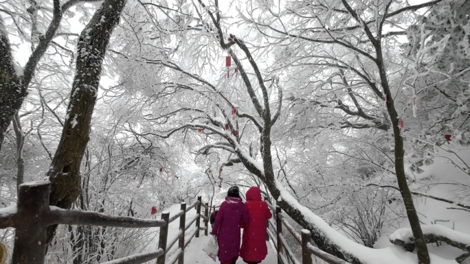 老君山雪后旅游