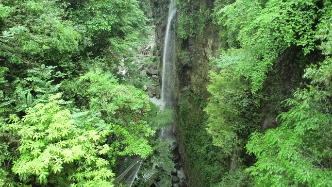 恩施大峡谷的云龙地缝 地缝 (3)