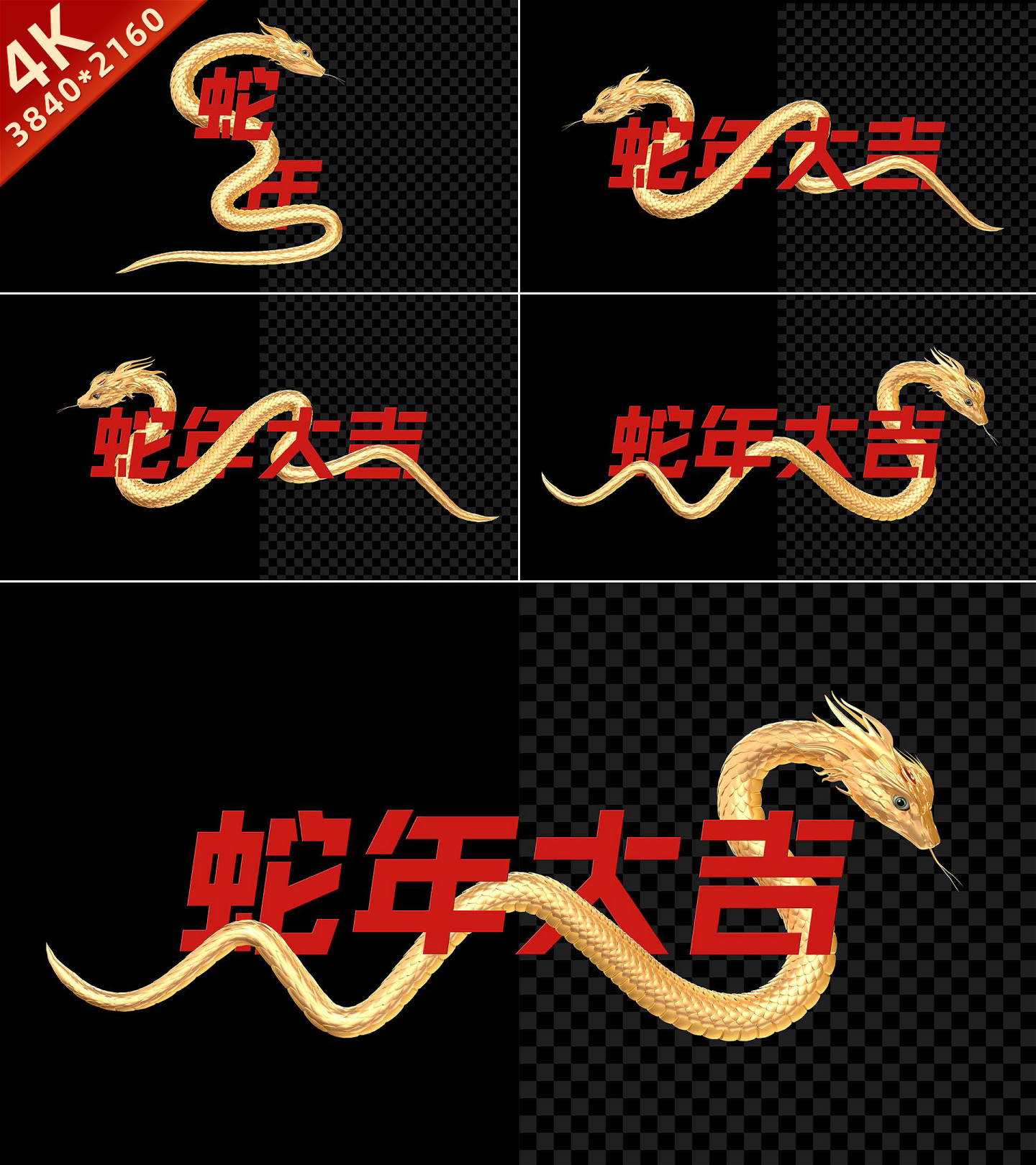 蛇路径动画C4D+AE模板