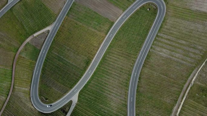 葡萄园里蜿蜒曲折的道路